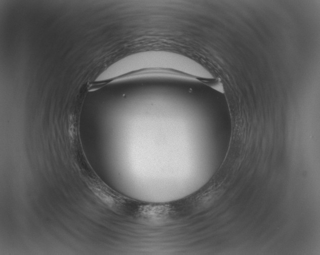 X0000082960135200702222350