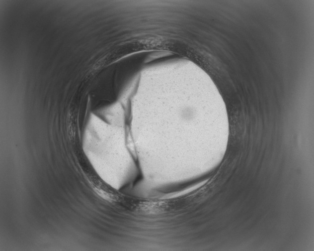 X0000082960136200702222350