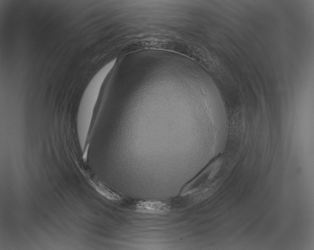 X0000082960137200702222350