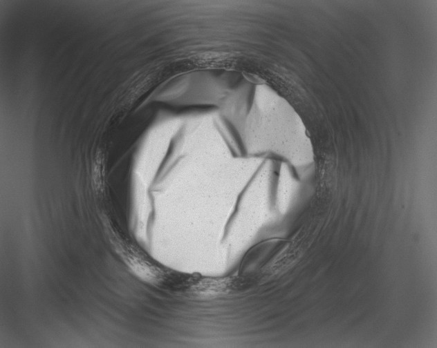 X0000082960138200702222350