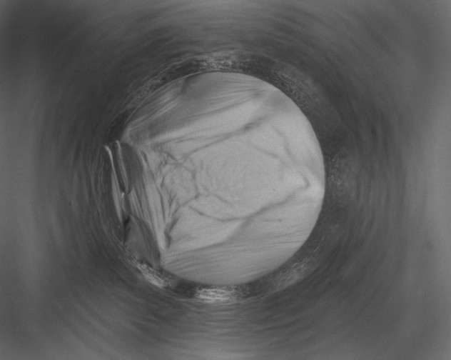 X0000082960139200702222350