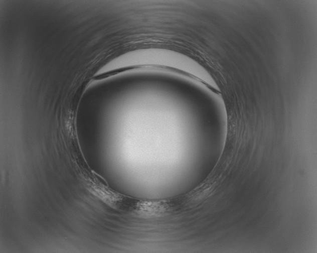 X0000082960141200702222350