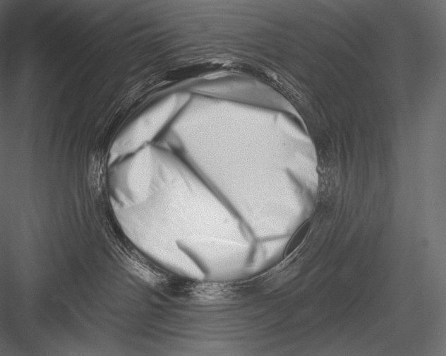 X0000082960142200702222350