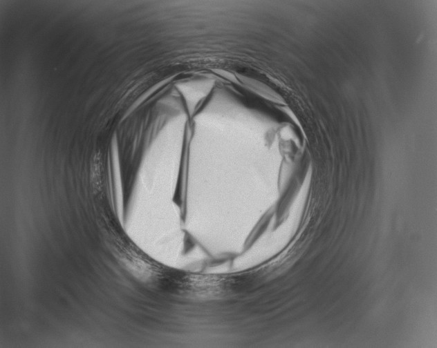 X0000082960144200702222350