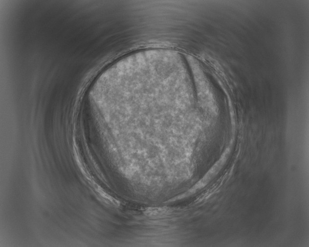 X0000082960145200702222349