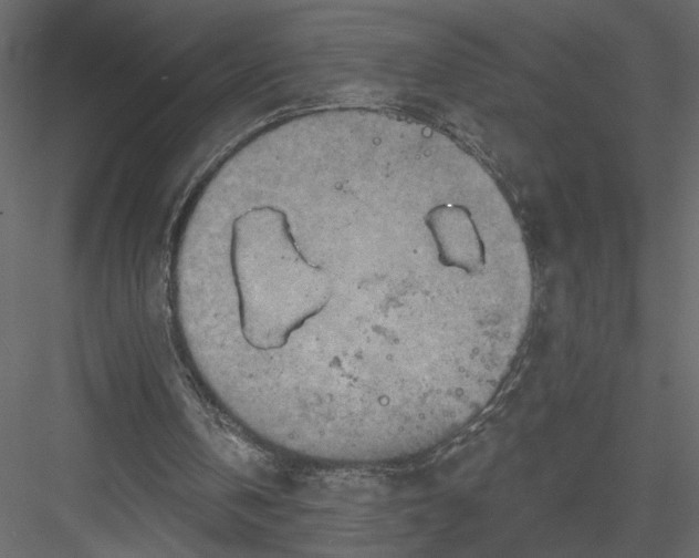 X0000082960146200702222349