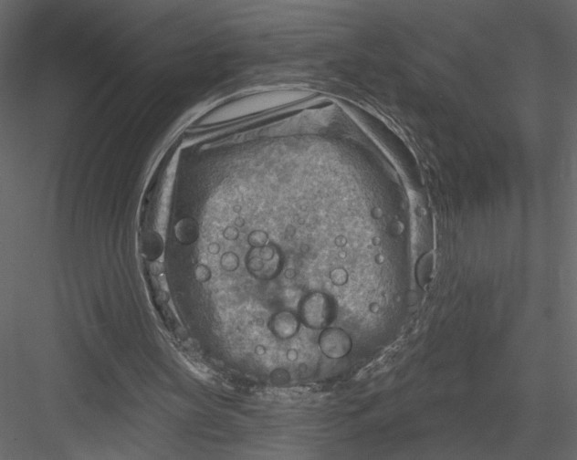 X0000082960147200702222349