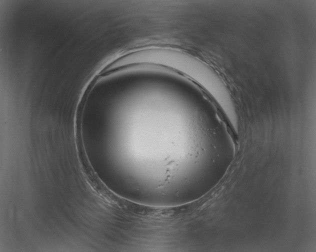 X0000082960148200702222349