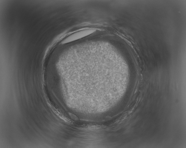 X0000082960149200702222349