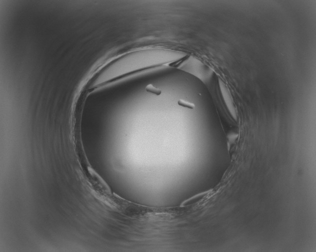 X0000082960150200702222349