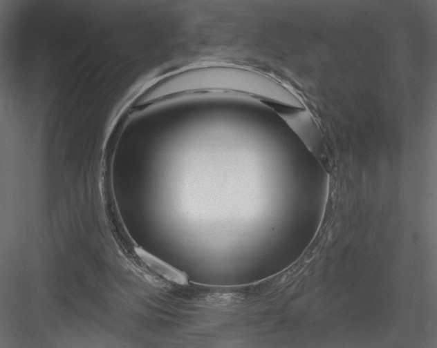 X0000082960152200702222349