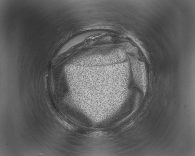 X0000082960153200702222349