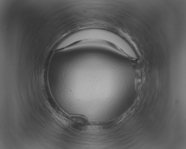 X0000082960154200702222349