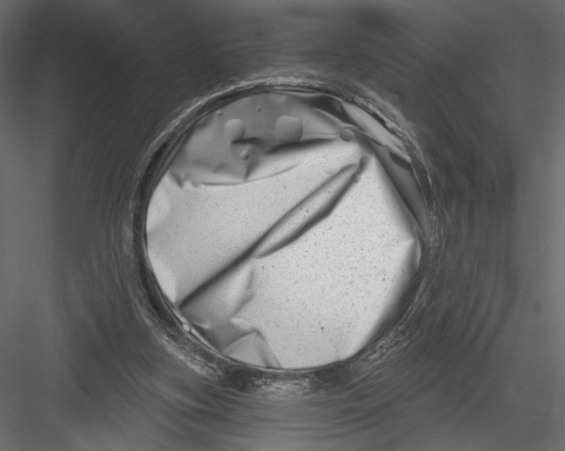 X0000082960155200702222349