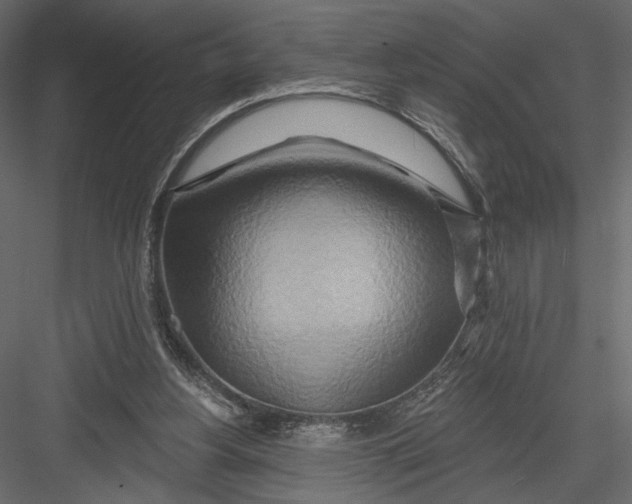 X0000082960156200702222349