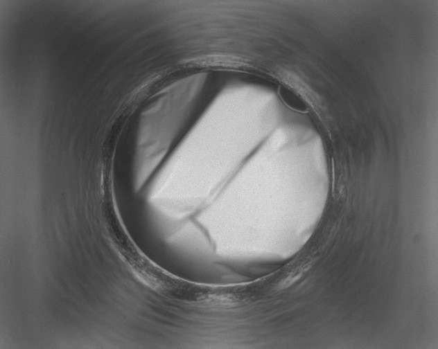 X0000082960157200702222349