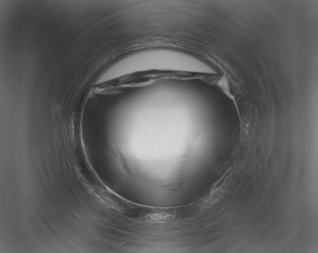 X0000082960158200702222349