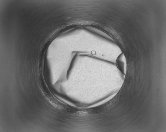 X0000082960159200702222349