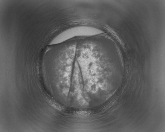 X0000082960161200702222349