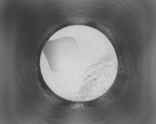 X0000082960162200702222349