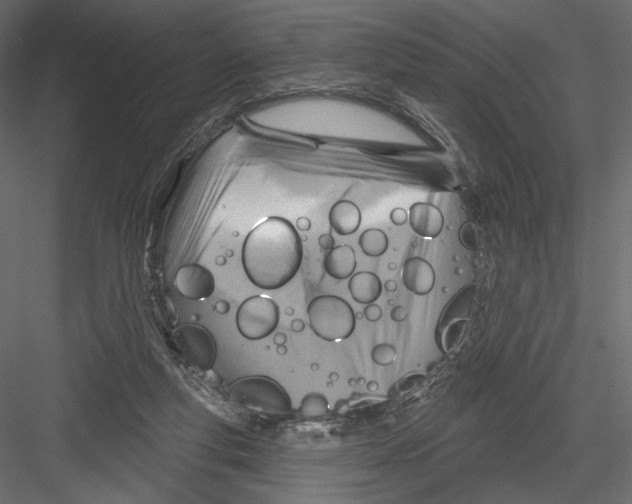 X0000082960163200702222349