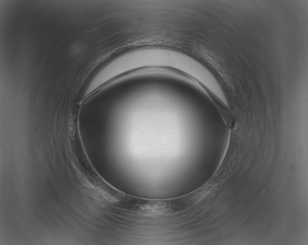 X0000082960164200702222349