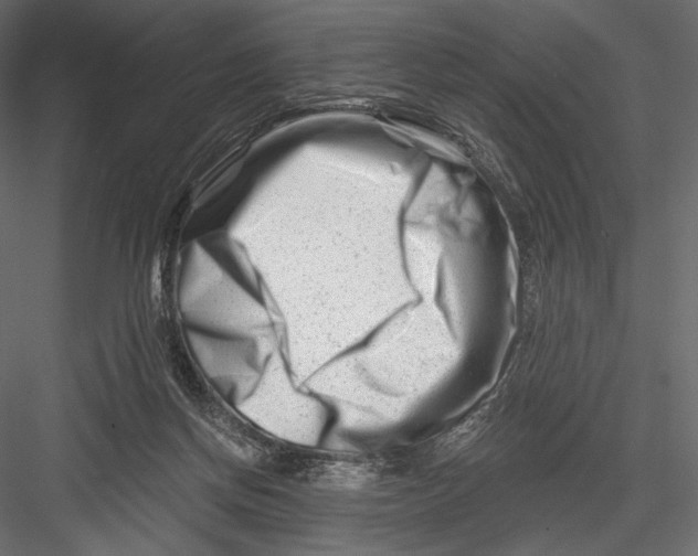 X0000082960166200702222349