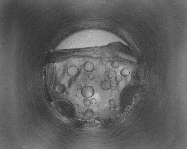 X0000082960167200702222349