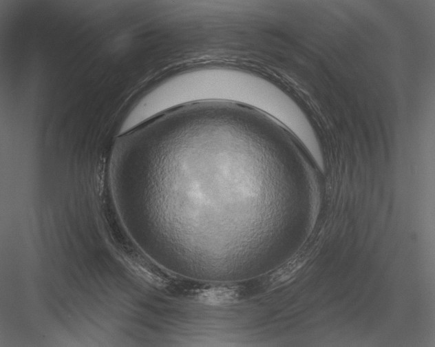 X0000082960168200702222349