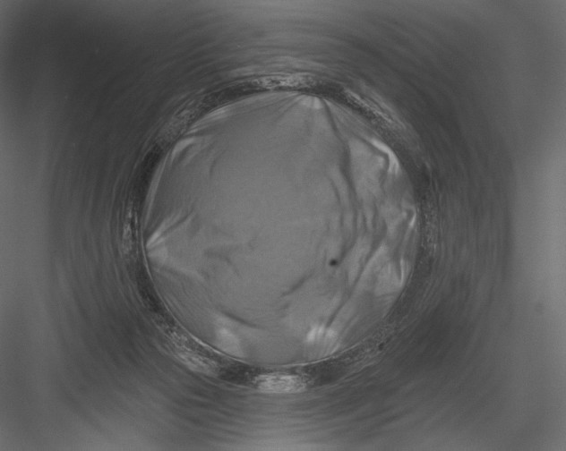 X0000082960169200702222349