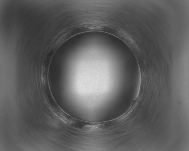 X0000082960170200702222349