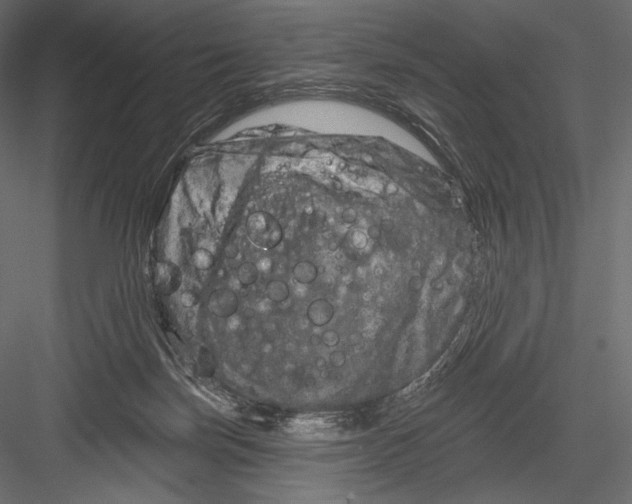 X0000082960171200702222349