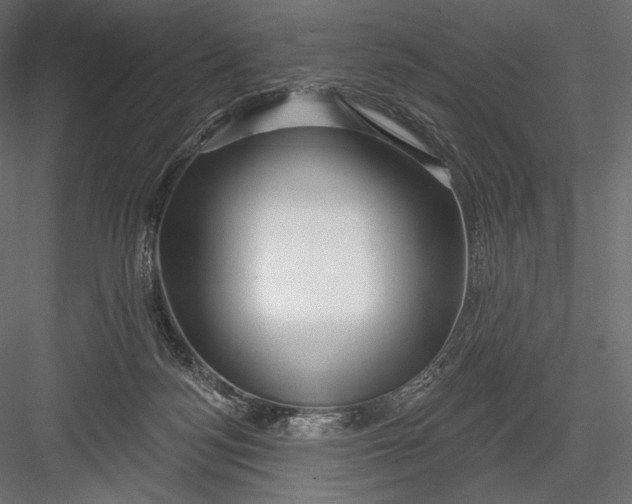 X0000082960172200702222349