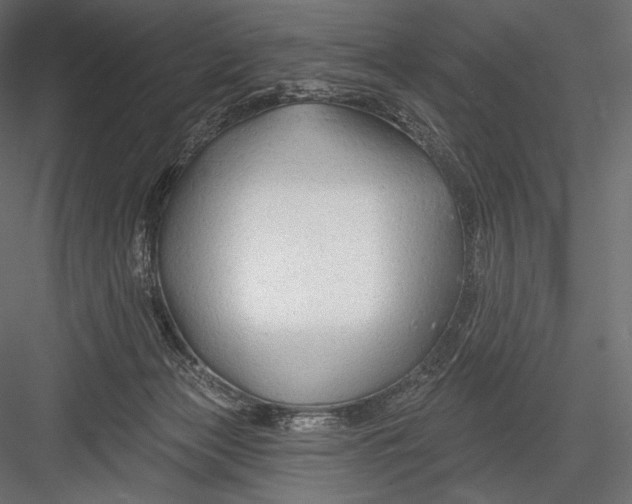 X0000082960173200702222349