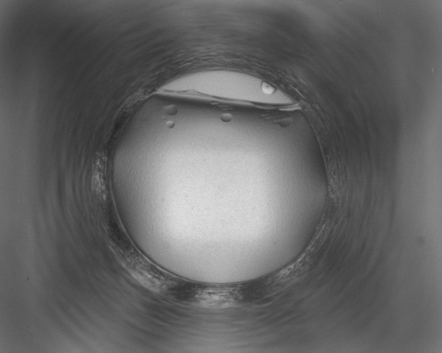 X0000082960175200702222349