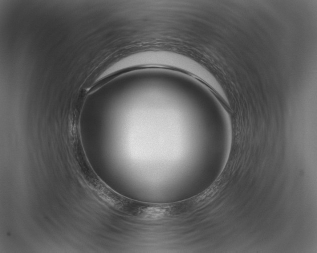 X0000082960176200702222349