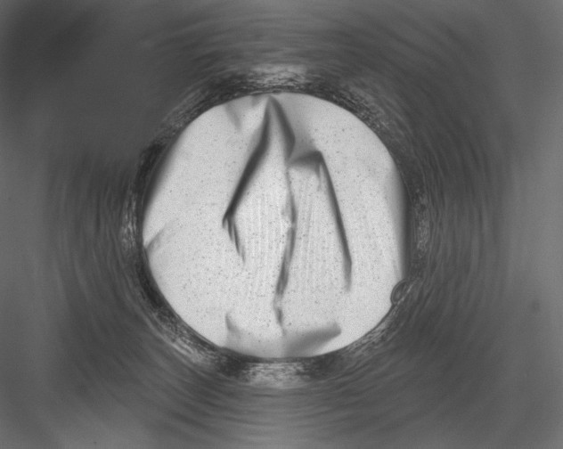 X0000082960179200702222349