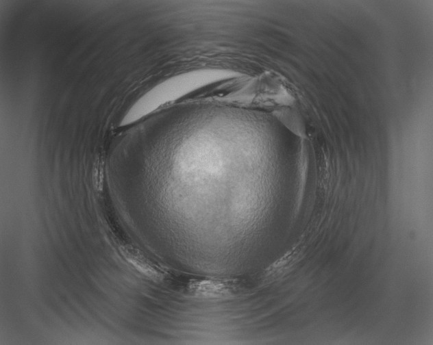 X0000082960180200702222349