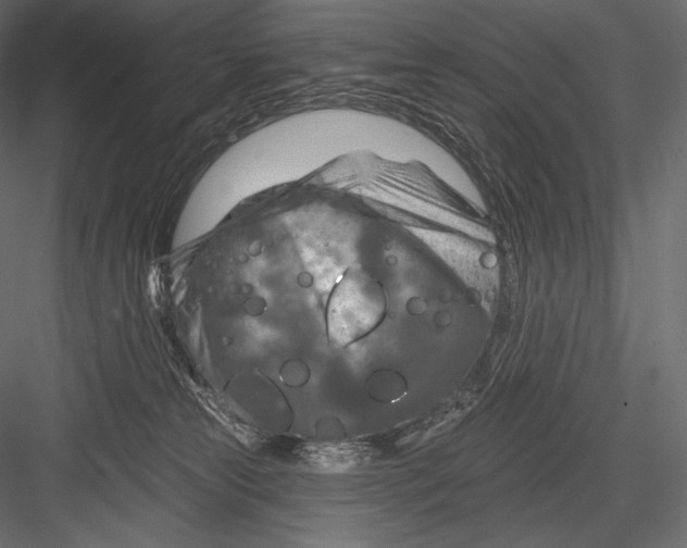 X0000082960181200702222349