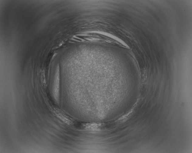 X0000082960182200702222349