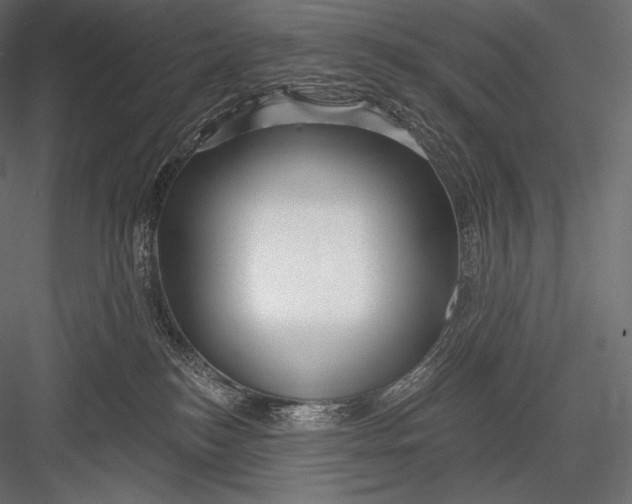 X0000082960184200702222350