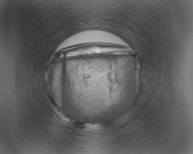 X0000082960185200702222350