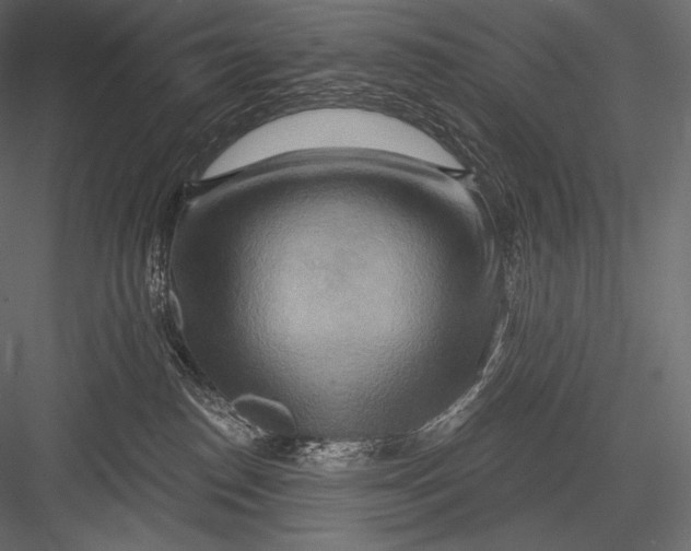 X0000082960186200702222350