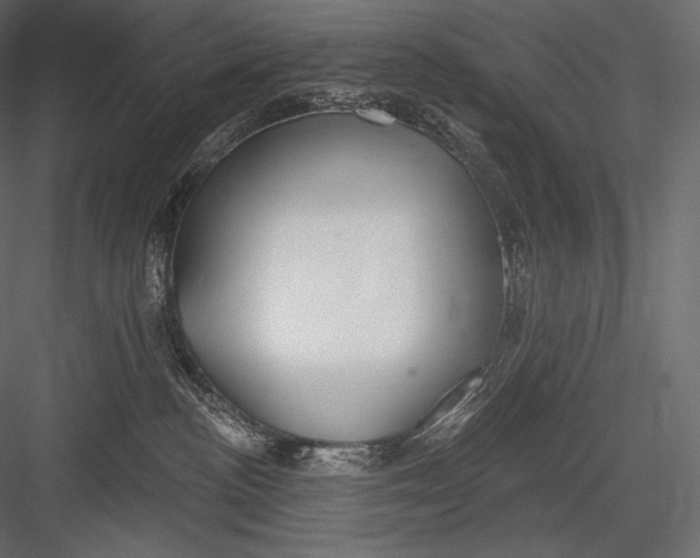 X0000082960188200702222350