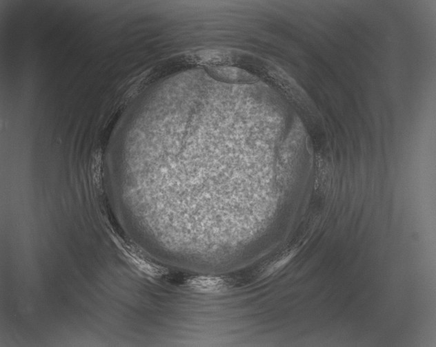 X0000082960189200702222350