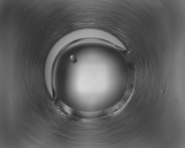 X0000082960190200702222350