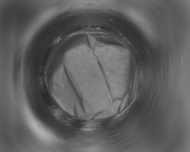 X0000082960191200702222350