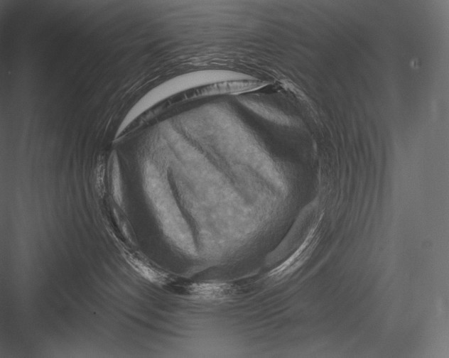 X0000082960192200702222350