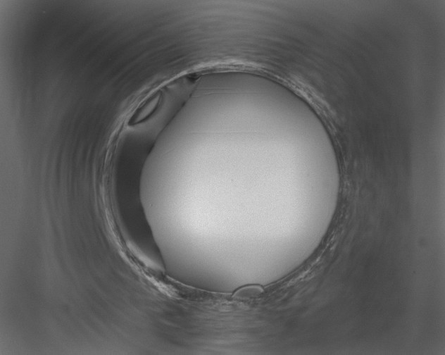 X0000082960193200702222349