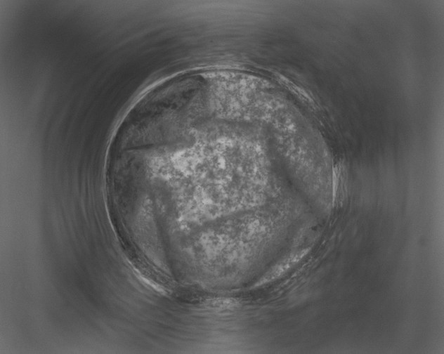 X0000082960195200702222349